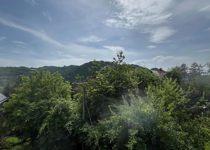 U Oli Maison d'hôtes Szczawnica